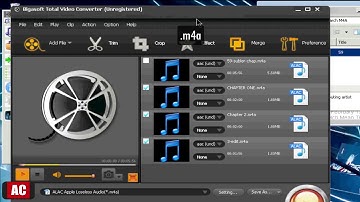Split M4A by Chapters on Windows-Bigasoft Total Video Converter