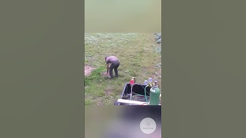 Rats should not be killed in this way. #experiments #facts #science #scienceexperiments #physics