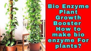 Bio Enzyme Plant Growth Booster | How to make bio enzyme For plants?