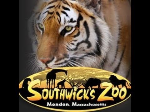 Trip To Southwick's Zoo! (Mendon,Ma)