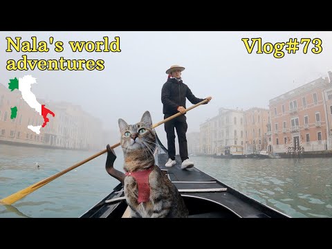 Video: A është gondola e njëjtë me gondolierët?