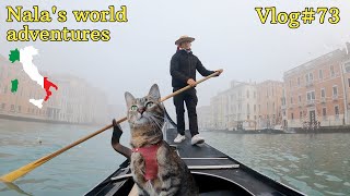 Nala's first gondola ride in VENICE ❤ VLOG #73