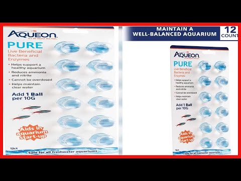 Aqueon PURE Live Beneficial Bacteria