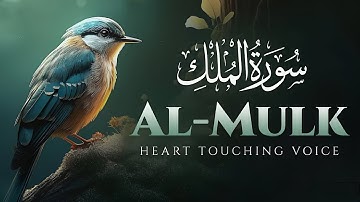 Ajmal Surat Al-Mulk | Tilawah Mareehah EP 324 أجمل سورة الملك | تلاوة مريحة