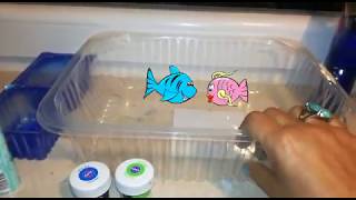 Una Piscina Para La Barbie,Manualidad,Parte