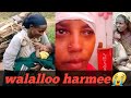 Walallo Harmee Walallo Harmee