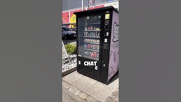 I Asked ChatGPT to Design My Perfect Vending Business Here’s What Happened