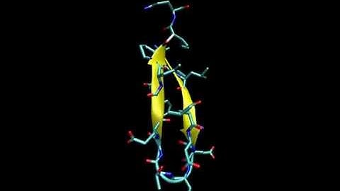 Force field comparison: Single peptide using Amber99SB*