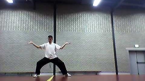 Chen Style Xinyi Hunyuan 24 form (GM Feng ZhiQiang)-  Training 24 06 2013
