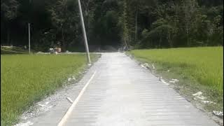 Lagu toraja- toraja mala'bi_ david kalo