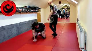 John Danaher`s Back System - 3 Control Methods for Turtle Top Position  - (week 21)