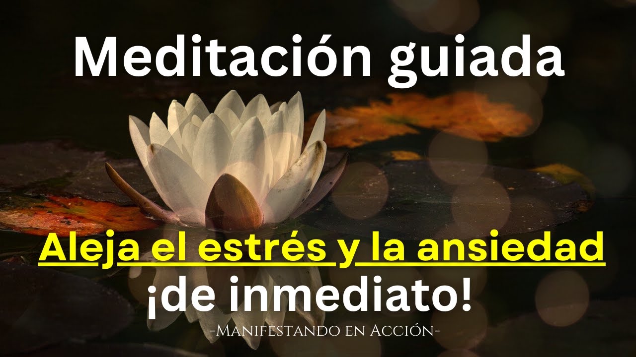 (8 min.) 😌 MEDITACIÓN guiada para CALMAR LA MENTE Y ANSIEDAD en pocos ...