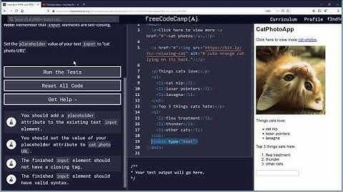 Add Placeholder Text to a Text Field Free Code Camp Org Basic HTML and HTML5
