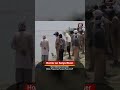 UP Crocodile Attack News