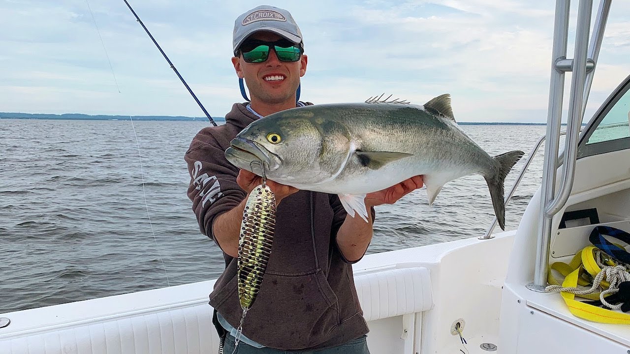 Jigging Magnum Flutter Spoons For BIG Striped Bass & Gator Bluefish!! 