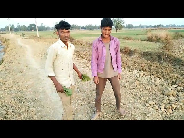 Pudina Ha ha ha | Pawan Singh 2022 New Song | Dj CB Raja Sultan Pur class=