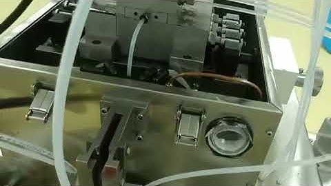 How Softgel Capsules Are Made? 🧪 Inside a High-Tech Manufacturing Line!