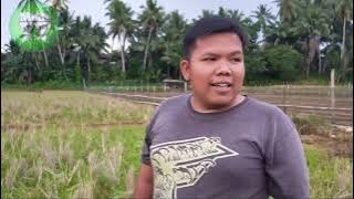 video lucu|gara-gara sinyal|funny video|