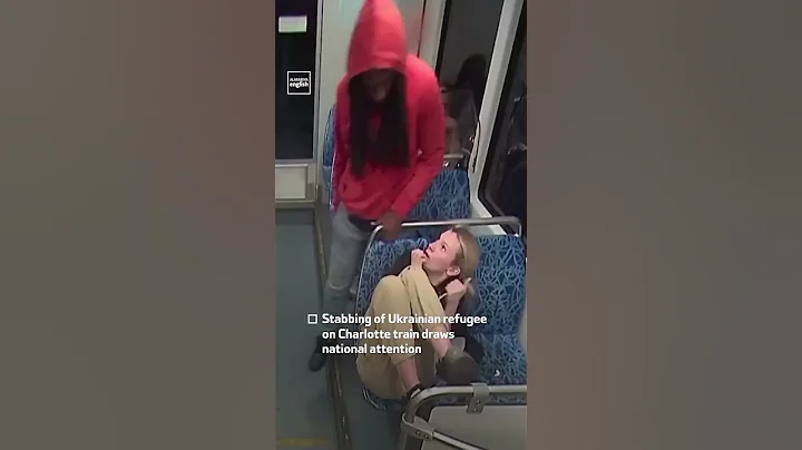 Ukrainian Refugee Stabbed On US Train