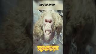Did You Know This About Rampage.