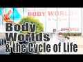 BODY WORLDS AND THE CYCLE OF LIFE 2020 | Warning: Real Human Bodies! Some May Be Sensitive | HMNS