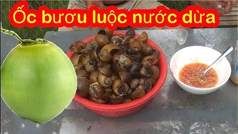 Ốc bươu hấp nước dừa quá ngon luôn - Ngọc vũ Vlog