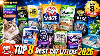 Top 8 Best Cat Litters 2026 | Top-Rated Cat Litters for Odor Control