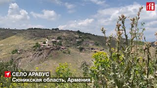 «Стало страшно работать»: армянское село Аравус готовится к сбору первого после войны урожая