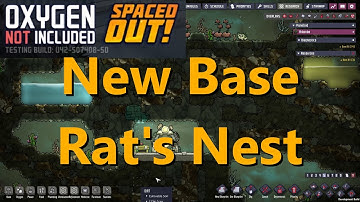 New Base Rat