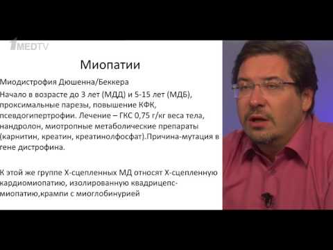 Video: Мышыктардагы эндокриндик келип чыгуунун сезгенбөөчү миопатиясы