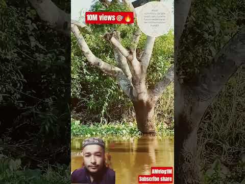 الل ه ل ا إ ل ه إ ل ا ه و ال ح ي ال ق ي وم