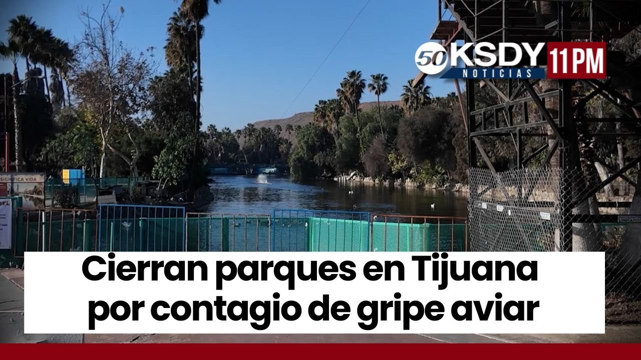 KSDY Noticias 11PM - Cierran parques en Tijuana por contagio de gripe ...