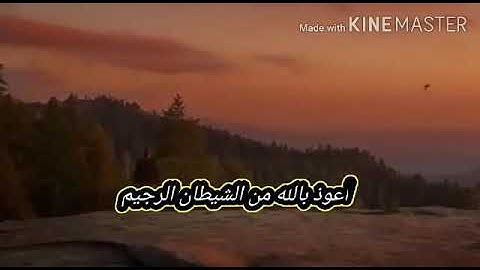 آيات بينات من سورة فصلت بصوت لؤي الجزائري