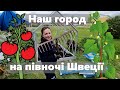 САДИМО ГОРОД НА ПІВНОЧІ ШВЕЦІЇ!!! ЧИ НЕ ЗМЕРЗНЕ??? НАШЕ ПОВЕРНЕННЯ!!!