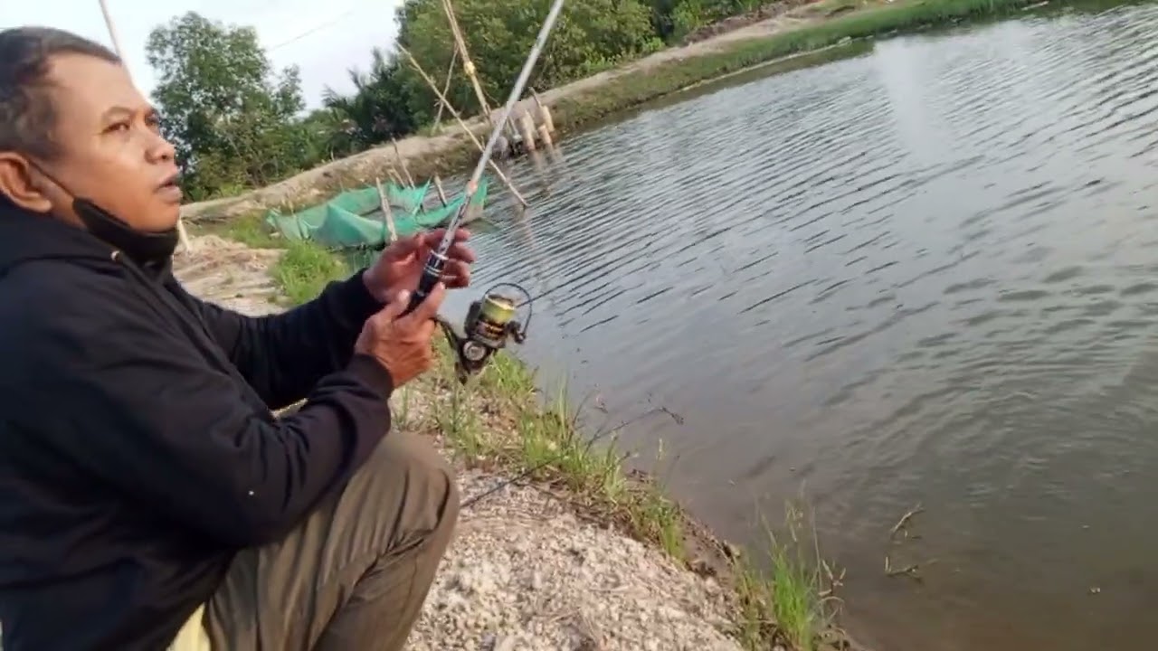 Yang mau ikut borong yok gaskan 35 orang aja kita 