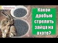 Какой дробью стрелять зайца на #охоте? Videoohota