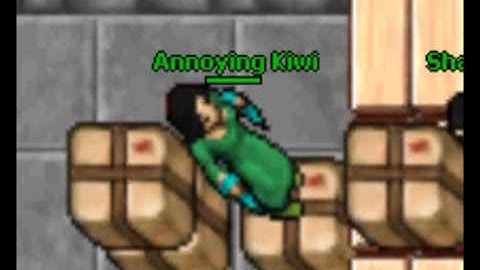 Tibia - Iridia 262 RP in trap - pk HQ