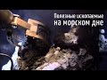 Чёрные курильщики — рудные фабрики морских глубин