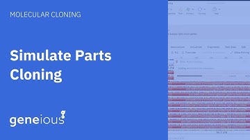 How to Perform Parts Cloning with Geneious Prime