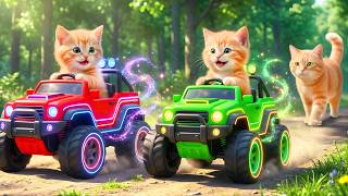 Live 🔴Mama Cat And Kitten ✨Funny Cat | Kucing 🌻 Cat Videos 😿 Cute Cat | Meow Meow