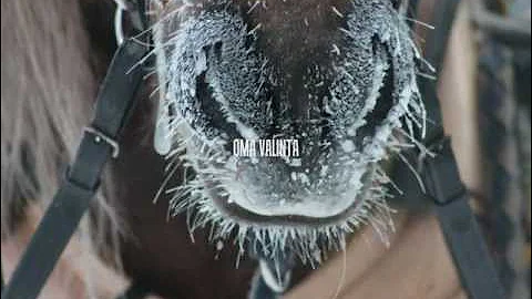 BibzyTheBestin VKK [round 1]