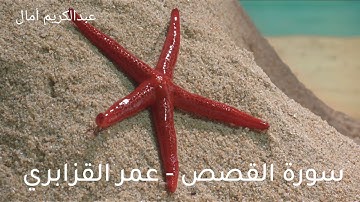 تلاوة جميلة من سورة القصص على النمط الحجاز والحجاز كار للشيخ عمر القزابري