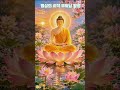 부처님 말씀 #명상 #부처님 말씀