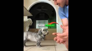 These Owners Tried The "Hands-In" Challenge With Their Dogs