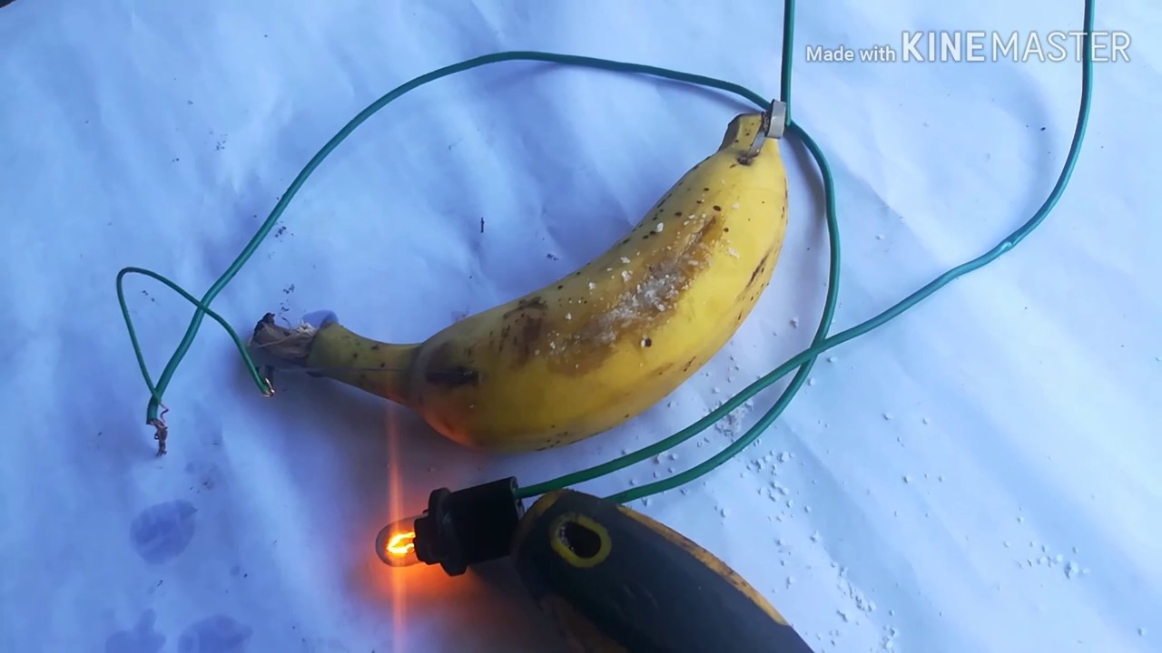 Get the electricity from the banana YouTube