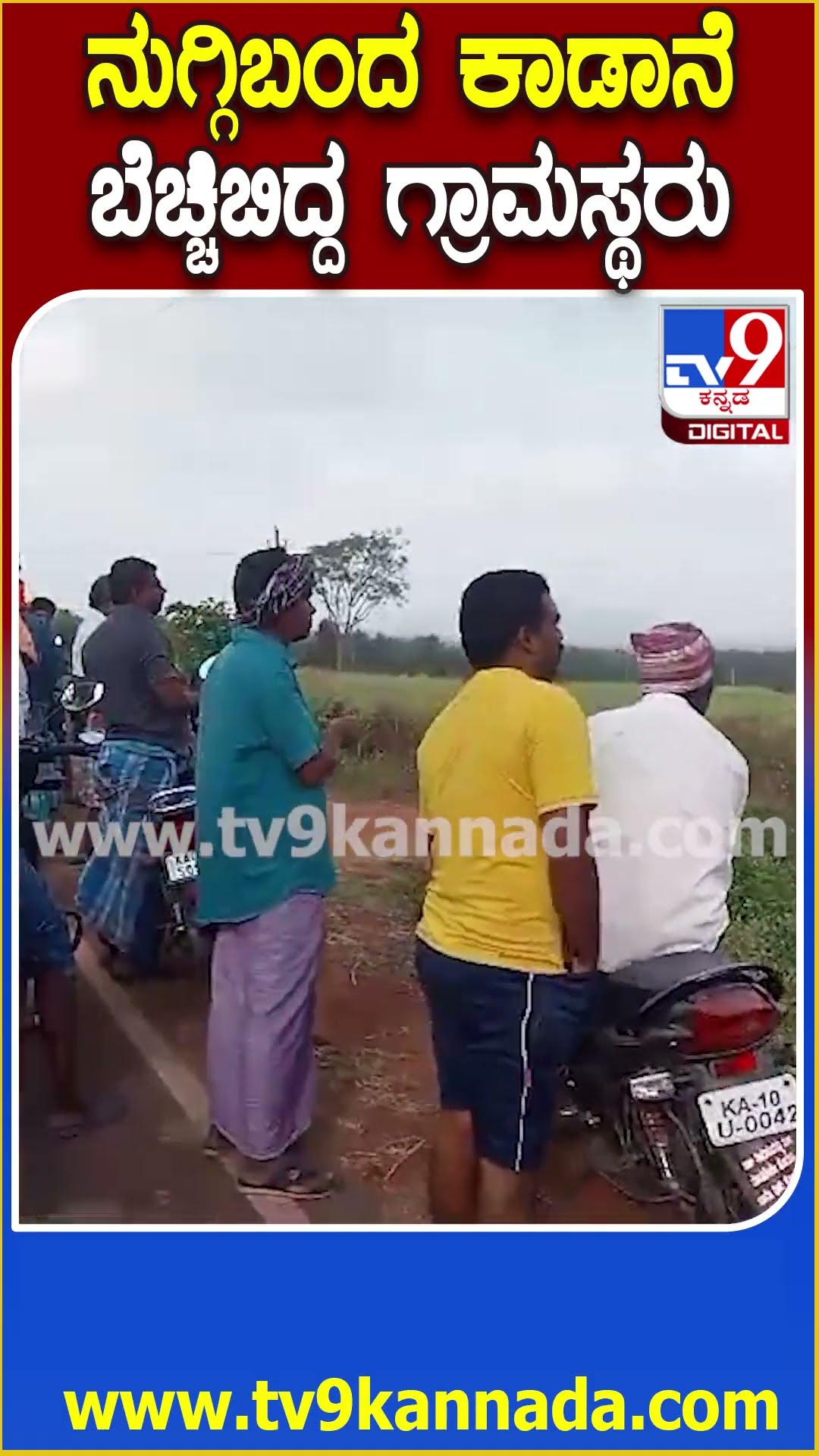 Elephants ಕಾಡಿನಿಂದ ನಾಡಿಗೆ ನುಗ್ಗಿ ಬಂದ 4 ಕಾಡಾನೆ, ಬೆಳ್ಳಂ ಬೆಳಿಗ್ಗೆ ಬೆಚ್ಚಿಬಿದ್ದ ಗ್ರಾಮಸ್ಥರು  | #TV9D