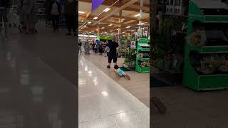 Toddlers Tantrum And The Tenacious Tug In Sainsburys