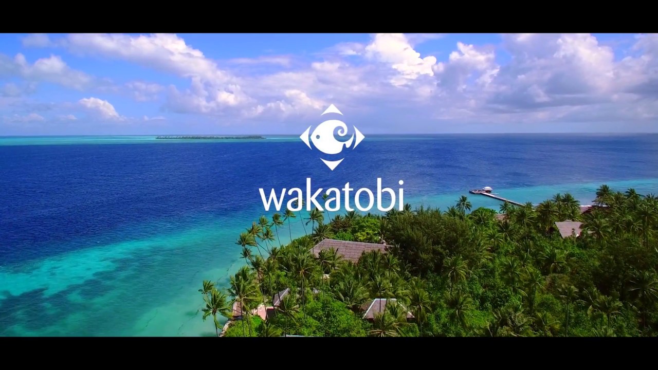Wakatobi Dive Resort  Indonesia