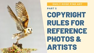 Copyright rules for reference photos - Emily Rose Fine Art