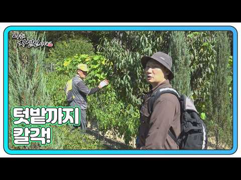 More Disciplined Than the Military! The Nature Lover's Impeccably Organized Home and Garden - MBN...